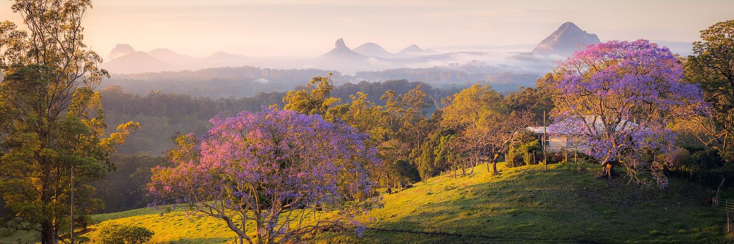 Melinda Pryor banner