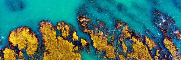 ericgroen Profile Banner