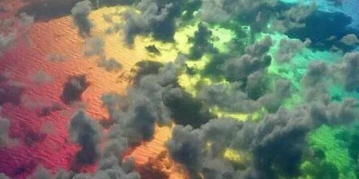 iarafassi's profile banner image