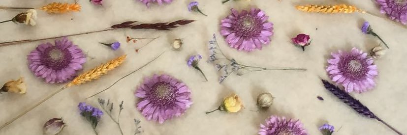 Tamara Díaz Vico banner