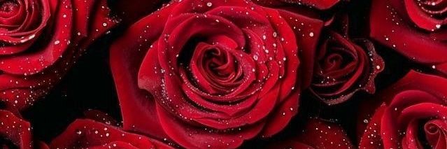 aantonio_tm2's profile banner image