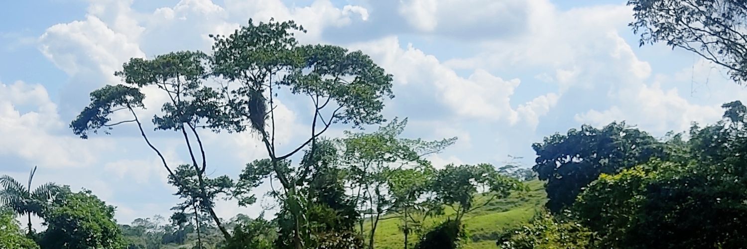 SebastianS937's profile banner image