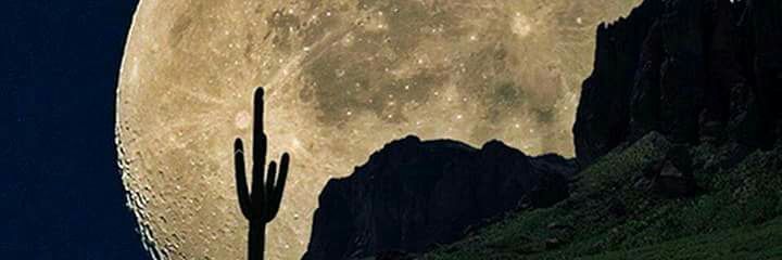 Nacho_Saavedra's profile banner image