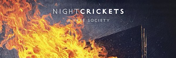 Night Crickets Profile Banner