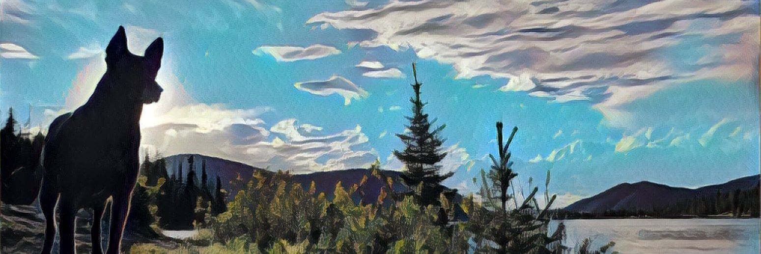 Space Dev banner