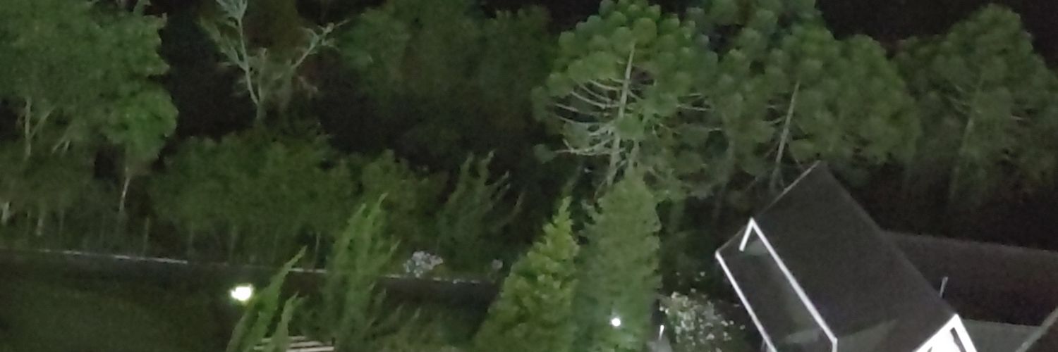 NickDutra12's profile banner image
