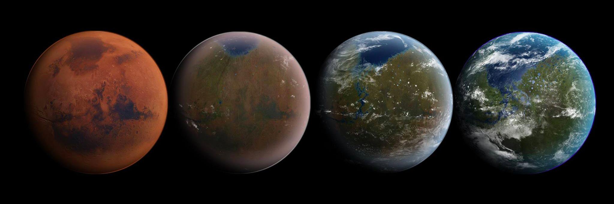 Michal Stefaniak banner