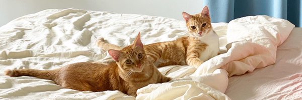 ginger_bois Profile Banner
