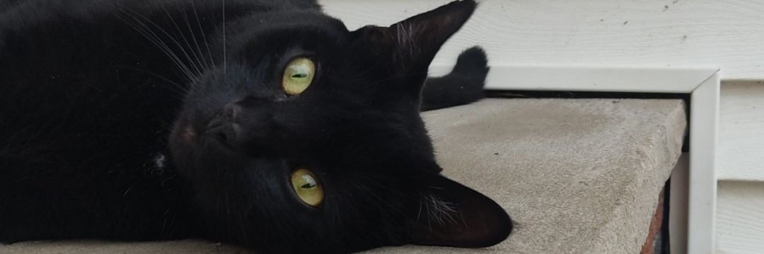VillafaneSteven's profile banner image