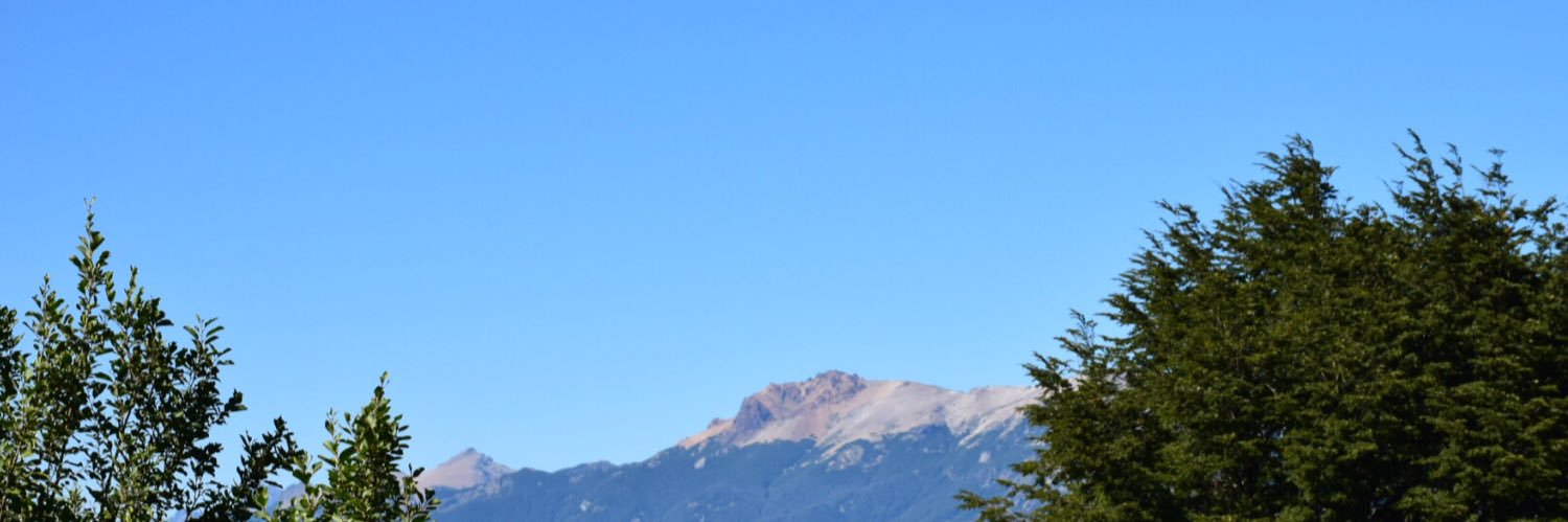 Florencia Bianchi ☆ banner