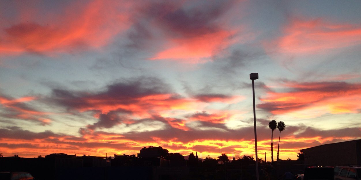 Marianne Karp banner