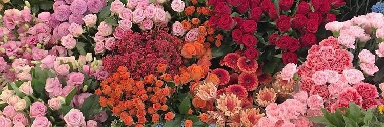 agosborghello's profile banner image