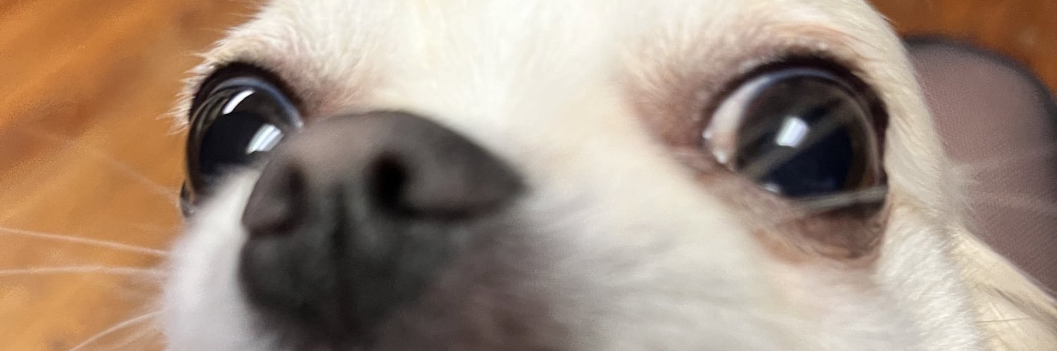 ciara_ml's profile banner image