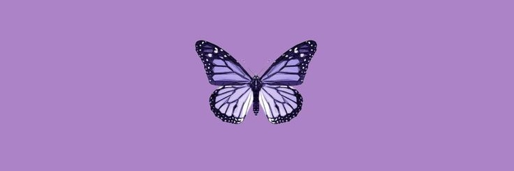 Daniele_Bit's profile banner image