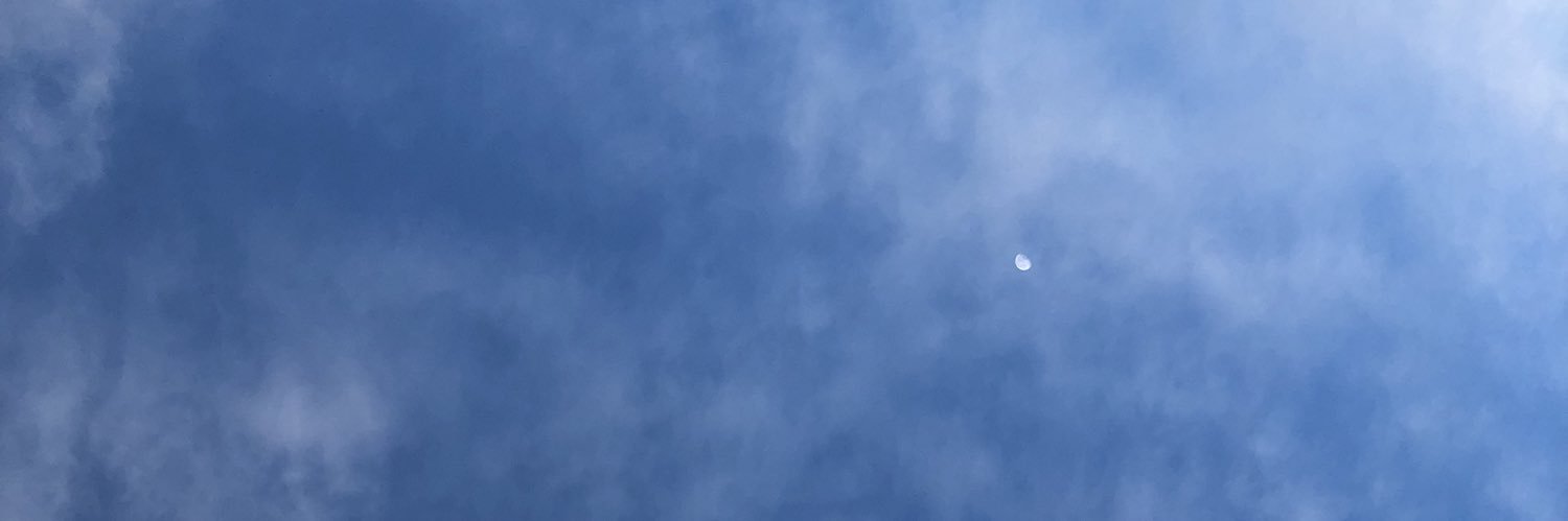 euvinilu's profile banner image