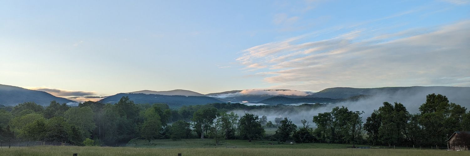 🚚 David Lam banner