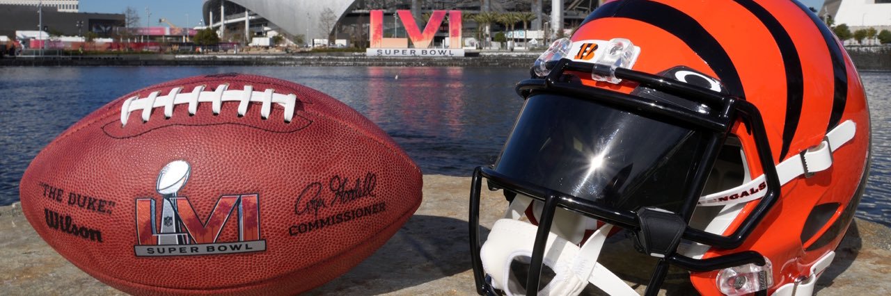 BengalsDTE's profile banner image