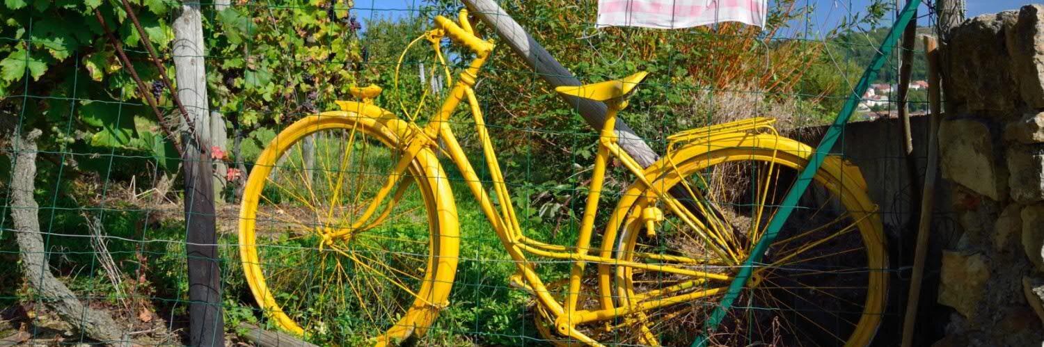 A publicity stunt... banner