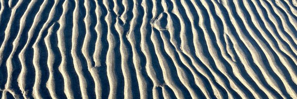 conneally Profile Banner