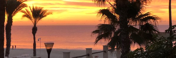 CDNPoliDiva Profile Banner