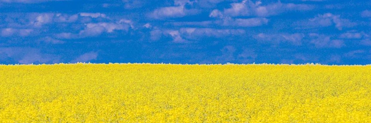 Andrew Gunn 🇺🇦 banner