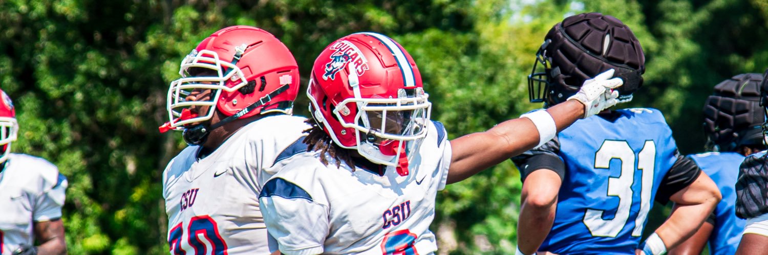 Tristan Houston banner