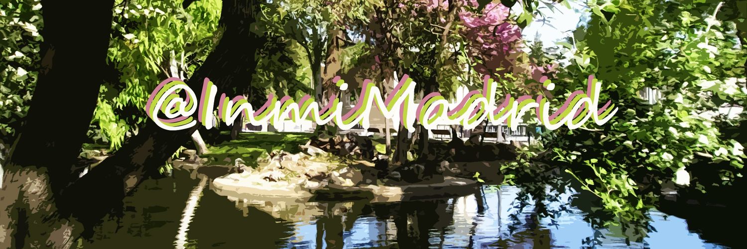 Inmi Madrid banner