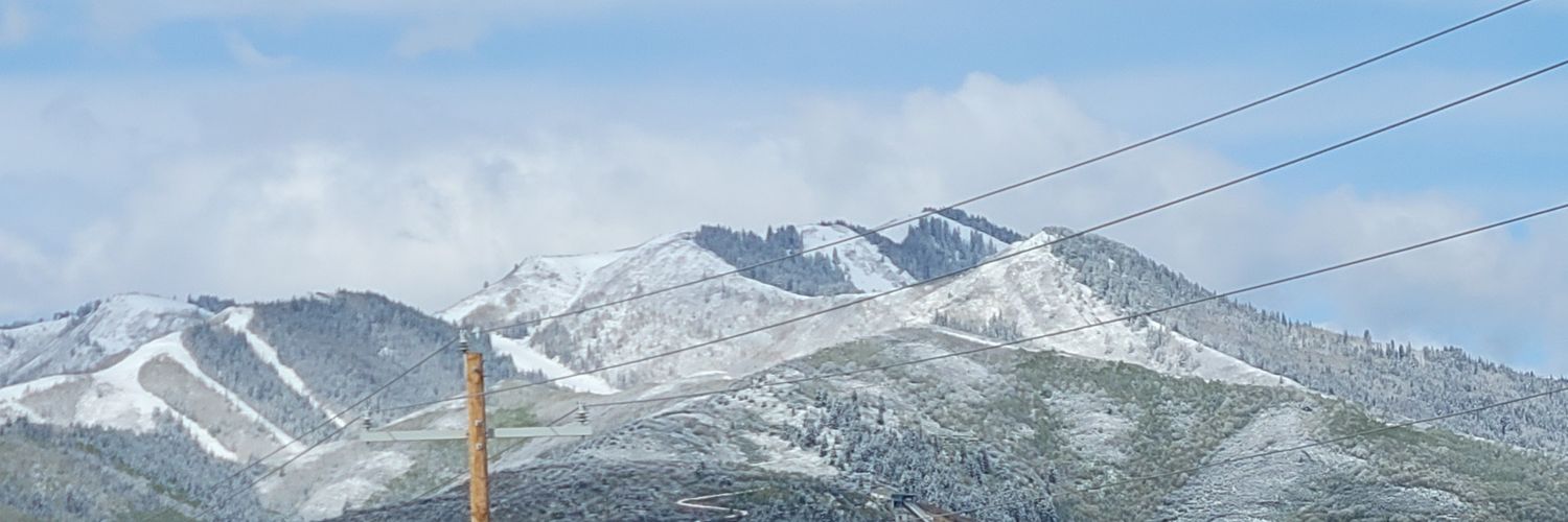 Houstonlimey's profile banner image