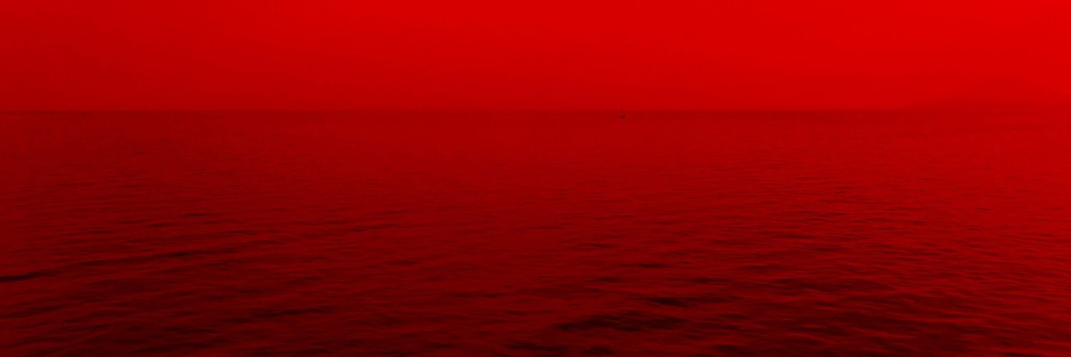 ShapedBunny's profile banner image