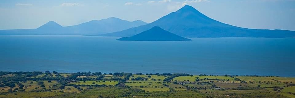 Promoción de Inversiones y Exportaciones - SPIEX banner