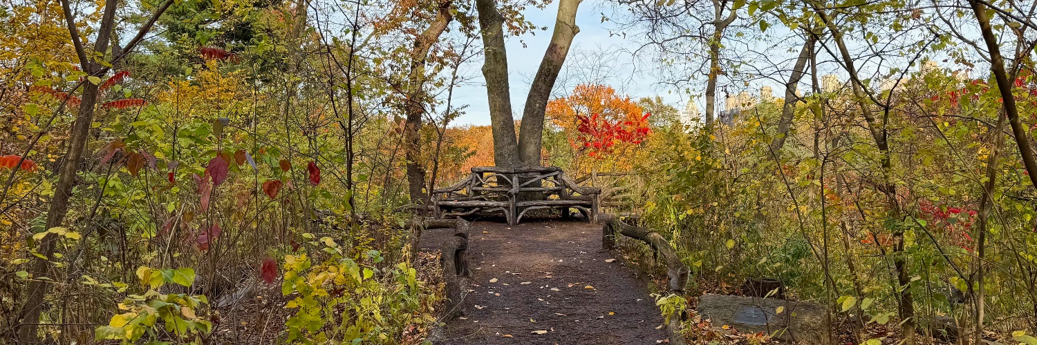 An Otherwise Blameless Life 🇺🇸 🇺🇦🍊 banner