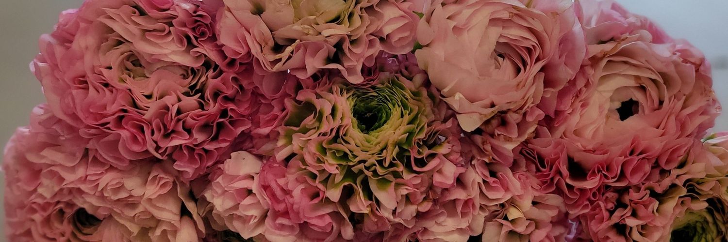 maddyymartin's profile banner image