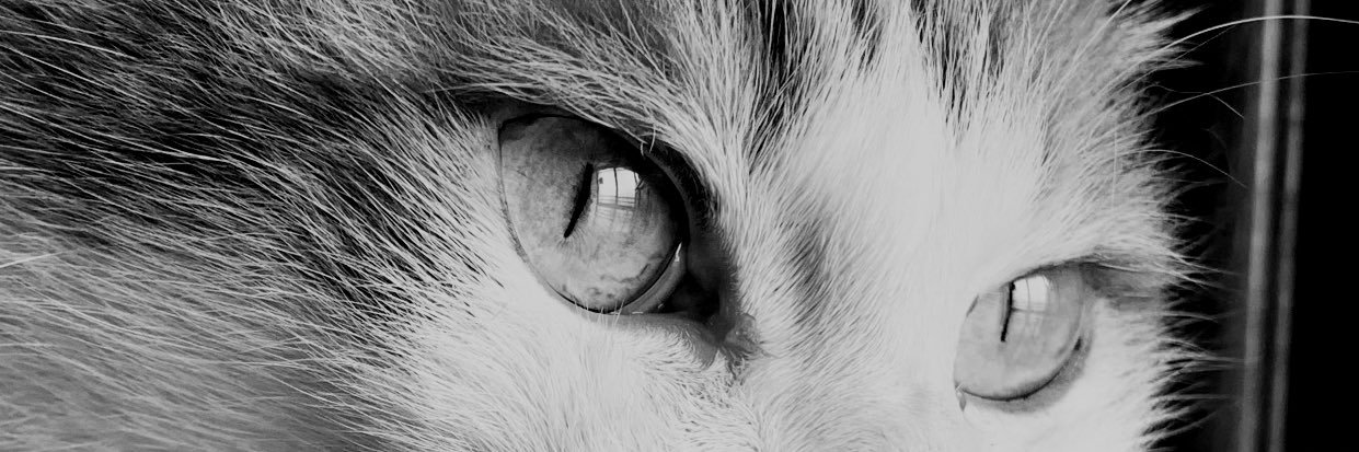 めてお banner