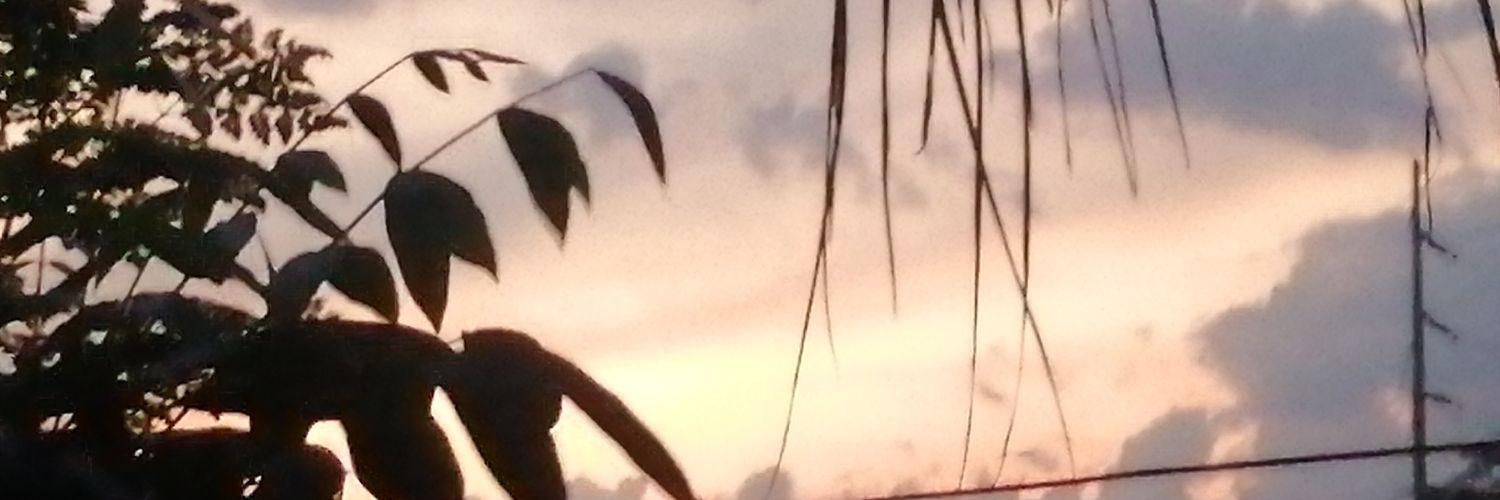 luckytoothless's profile banner image