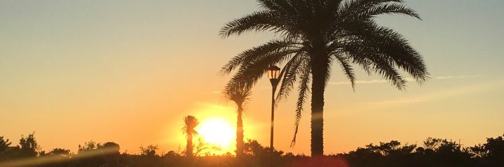 MattJLove's profile banner image