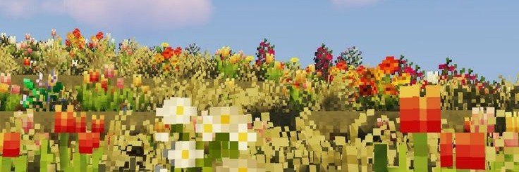 andesitecat's profile banner image