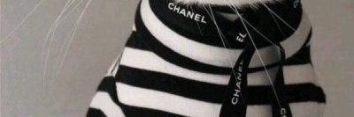 ShawneeRuos's profile banner image
