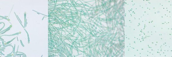 M_Banba_ Profile Banner