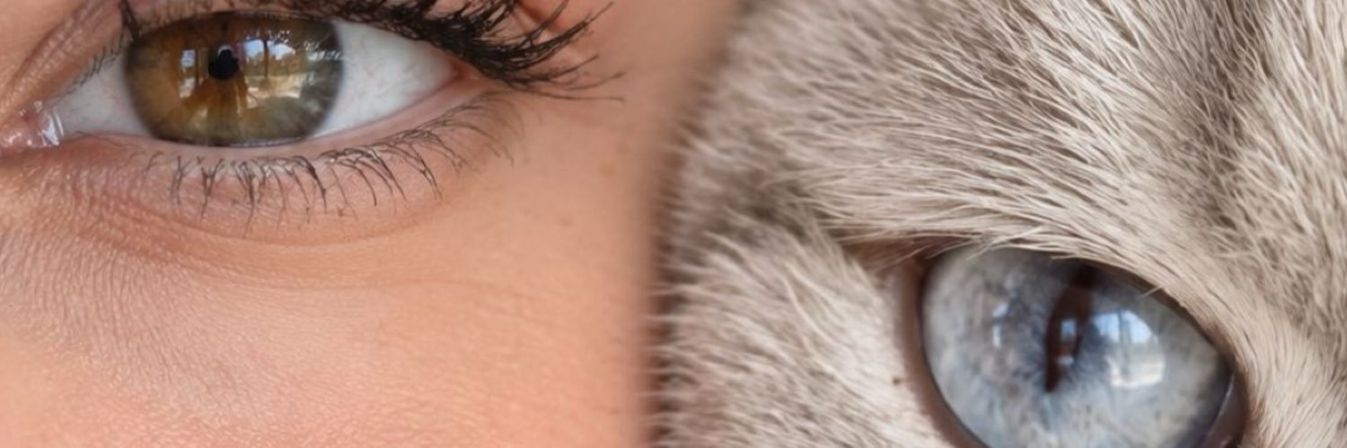 amanagiyan's profile banner image