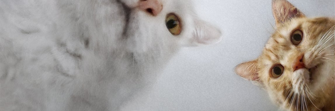 multifrukt55's profile banner image