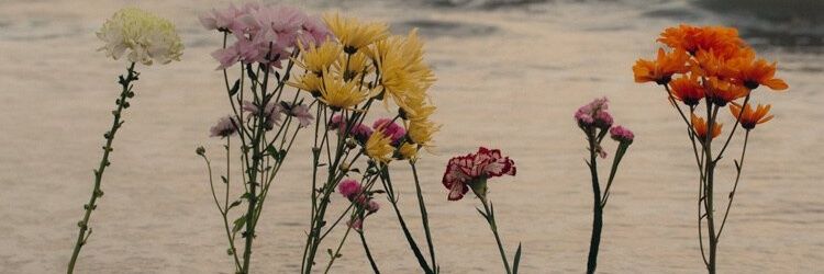 andresemeco's profile banner image