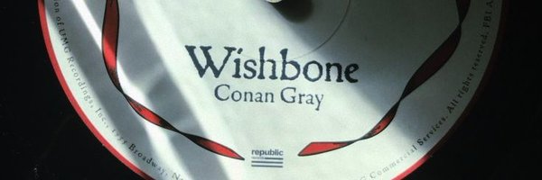 sedylamarr Profile Banner