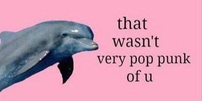 Pop Punk's Not Dead. banner