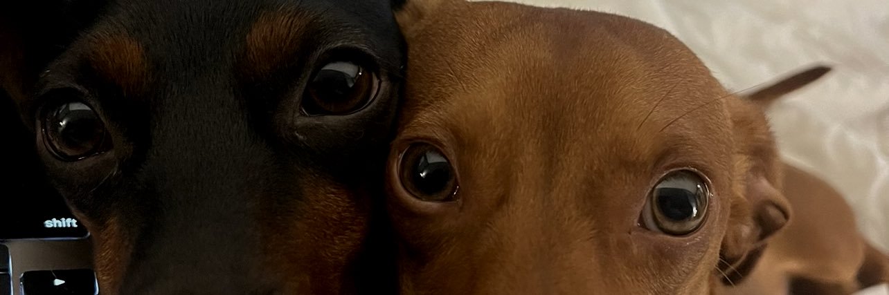 josephreyes321's profile banner image