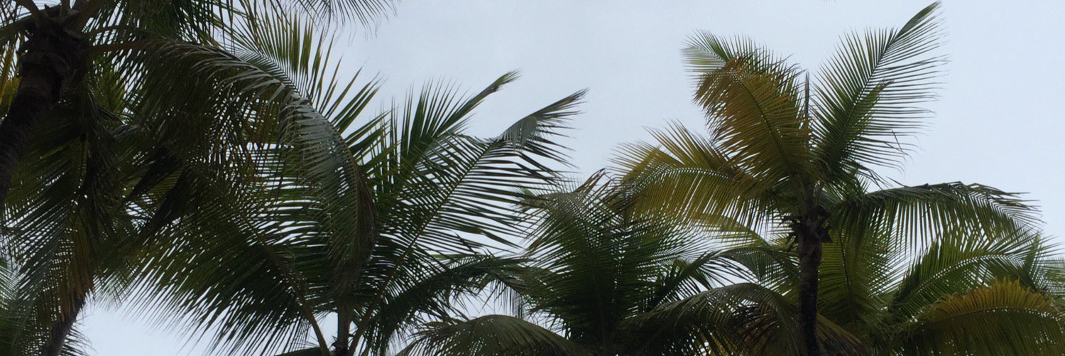 v_carc's profile banner image
