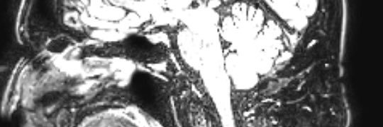 Dr Greg Kelly banner