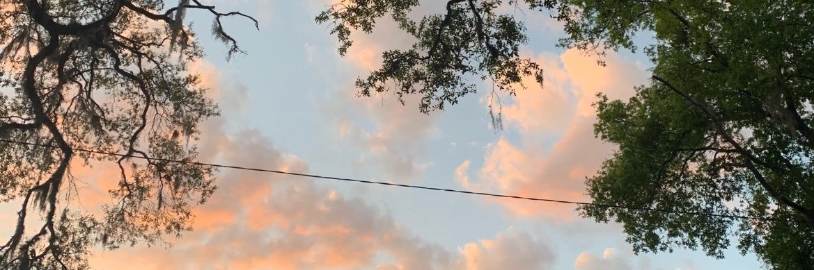 Ronnasia 🧚🏾‍♀️'s banner