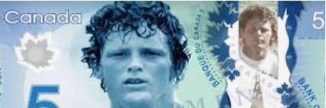 Wilmark 🇨🇦🍁🦫 banner