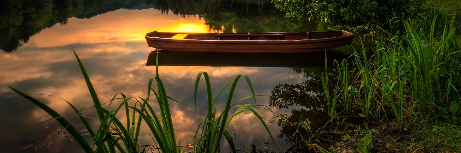 CochranDarwin's profile banner image