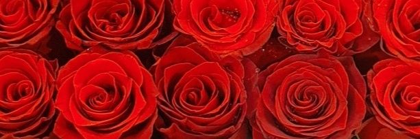 جمال الروح🕊♓️ 🎶🎤🎶الغناء آفاقي banner